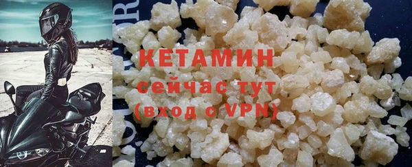 стаф Гатчина