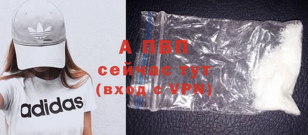 стафф Снежинск