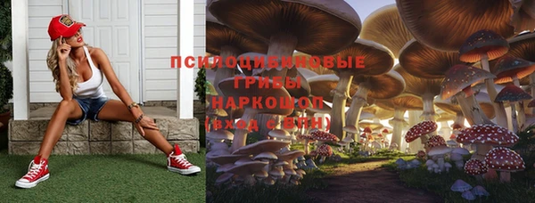 индика Абдулино