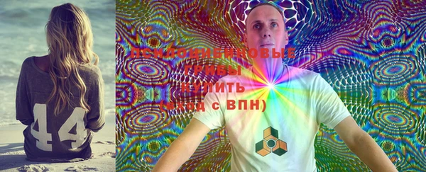 дмт Абаза