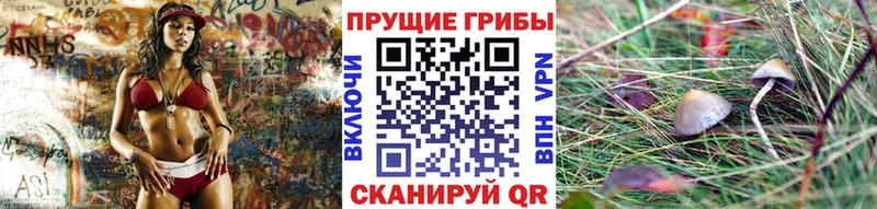 Псилоцибиновые грибы ЛСД  купить   Агидель 